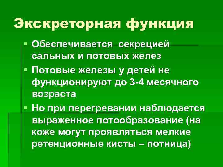 Экскреторная функция § Обеспечивается секрецией сальных и потовых желез § Потовые железы у детей