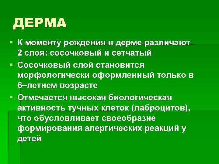 ДЕРМА § К моменту рождения в дерме различают 2 слоя: сосочковый и сетчатый §