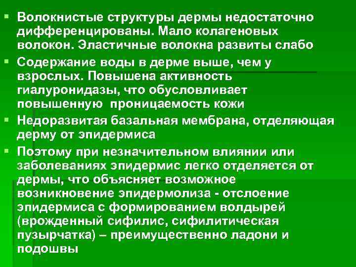 § Волокнистые структуры дермы недостаточно дифференцированы. Мало колагеновых волокон. Эластичные волокна развиты слабо §