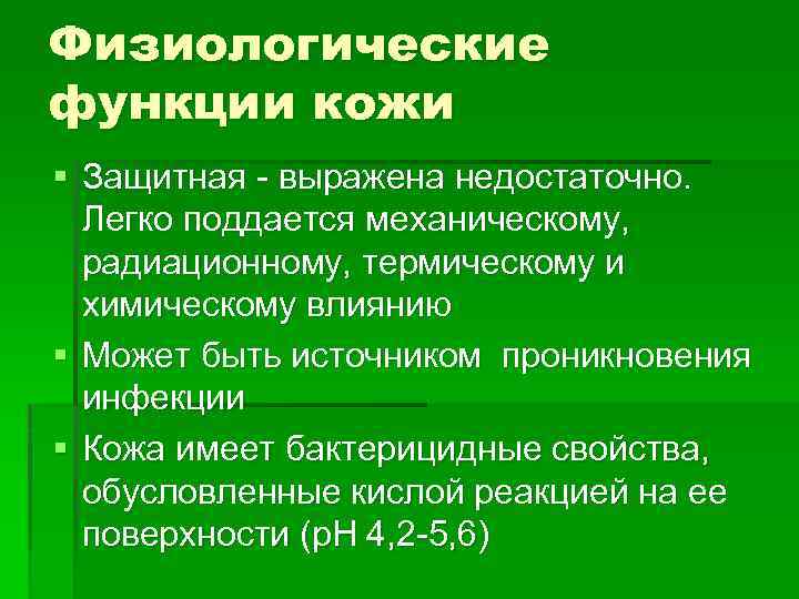 Первичные и вторичные морфологические элементы кожи презентация