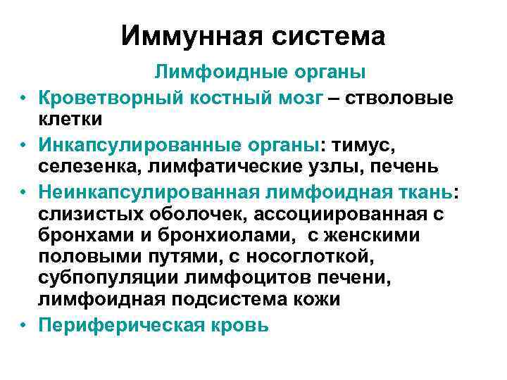 Иммунная система • • Лимфоидные органы Кроветворный костный мозг – стволовые клетки Инкапсулированные органы: