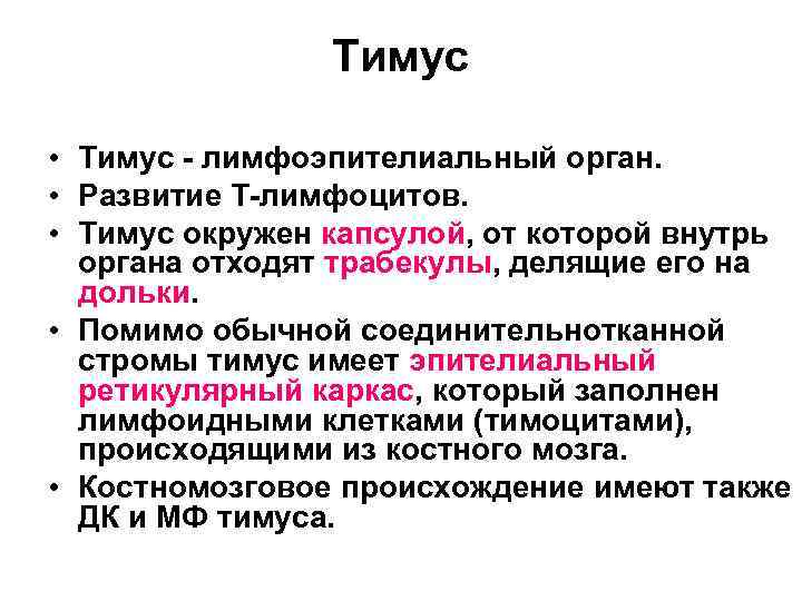 Тимус • Тимус - лимфоэпителиальный орган. • Развитие Т-лимфоцитов. • Тимус окружен капсулой, от