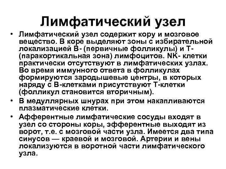 Лимфатический узел • Лимфатический узел содержит кору и мозговое вещество. В коре выделяют зоны