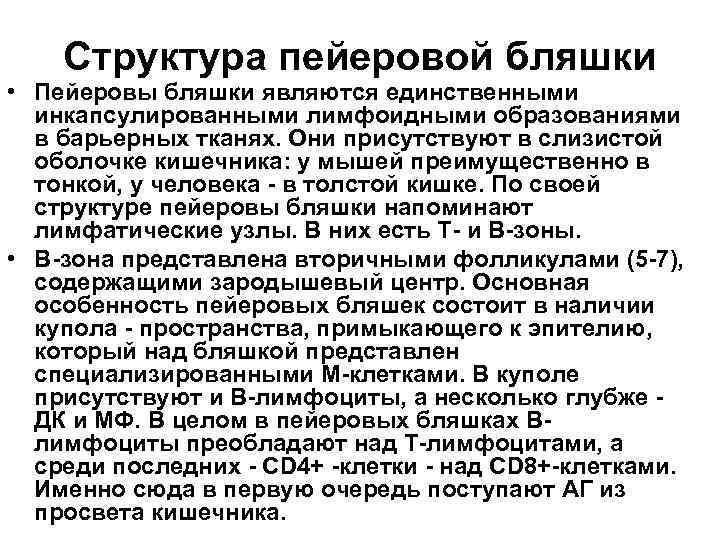 Структура пейеровой бляшки • Пейеровы бляшки являются единственными инкапсулированными лимфоидными образованиями в барьерных тканях.