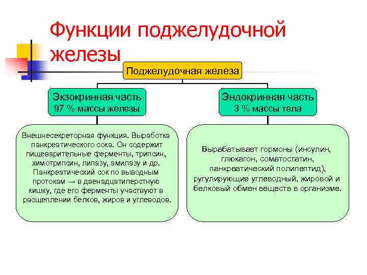 Функции поджелудочной железы Поджелудочная железа Экзокринная часть Эндокринная часть 97 % массы железы 3
