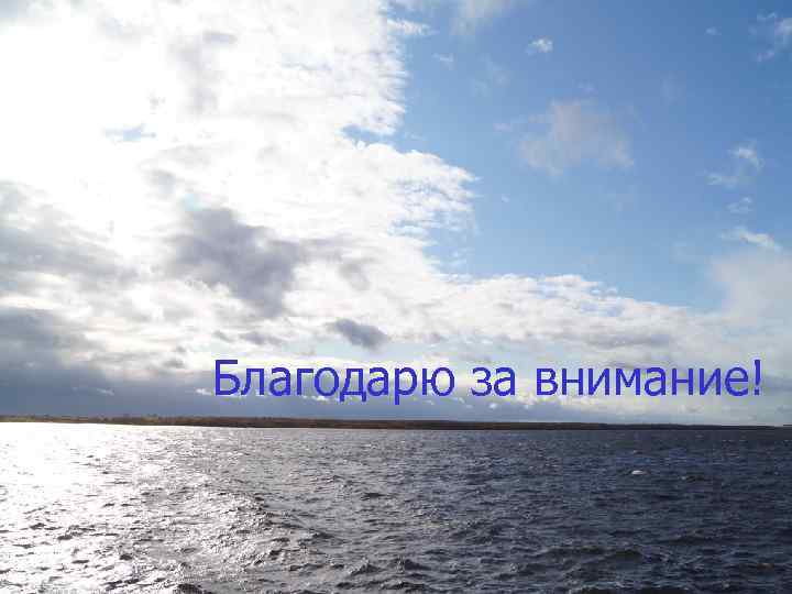 Благодарю за внимание! 