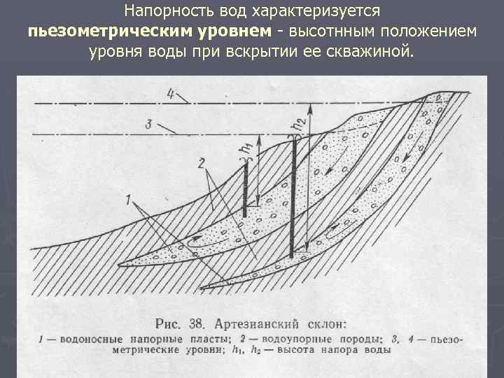 Напорность вод характеризуется пьезометрическим уровнем - высотнным положением уровня воды при вскрытии ее скважиной.