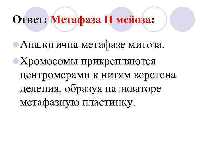 Ответ: Метафаза II мейоза: l Аналогична метафазе митоза. l Хромосомы прикрепляются центромерами к нитям