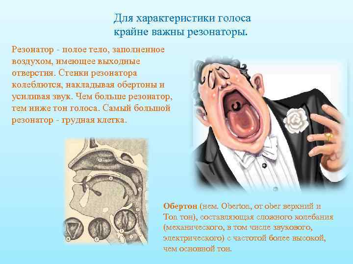 Для характеристики голоса крайне важны резонаторы. Резонатор - полое тело, заполненное воздухом, имеющее выходные