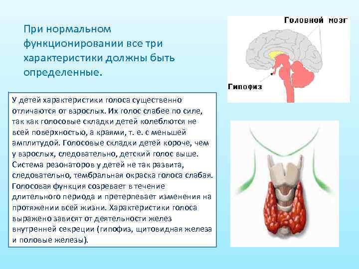 При нормальном функционировании все три характеристики должны быть определенные. У детей характеристики голоса существенно