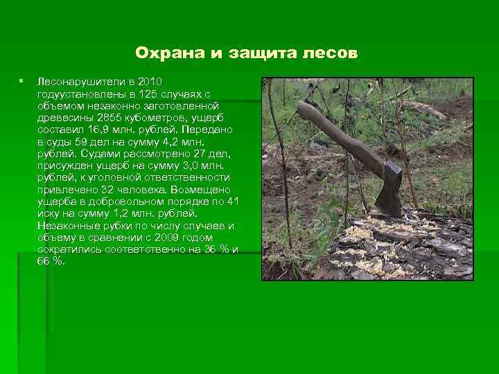 Охрана и защита лесов § Лесонарушители в 2010 годуустановлены в 125 случаях с объемом