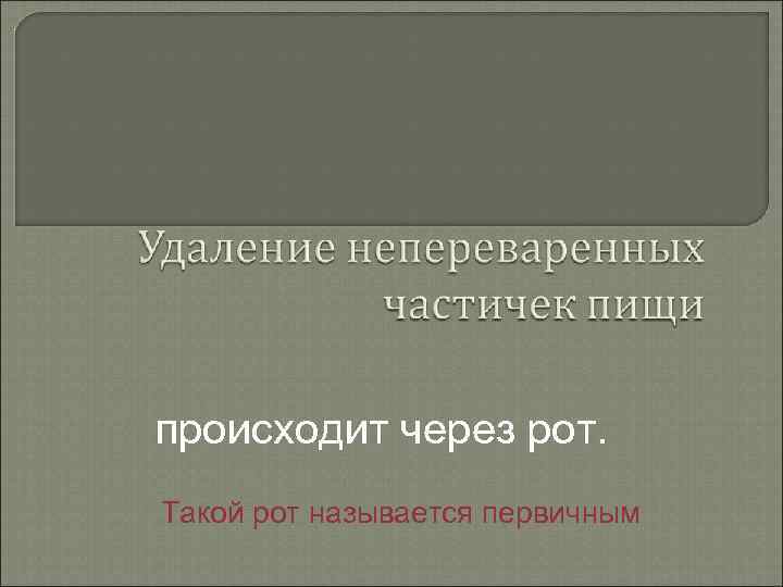 происходит через рот. Такой рот называется первичным 