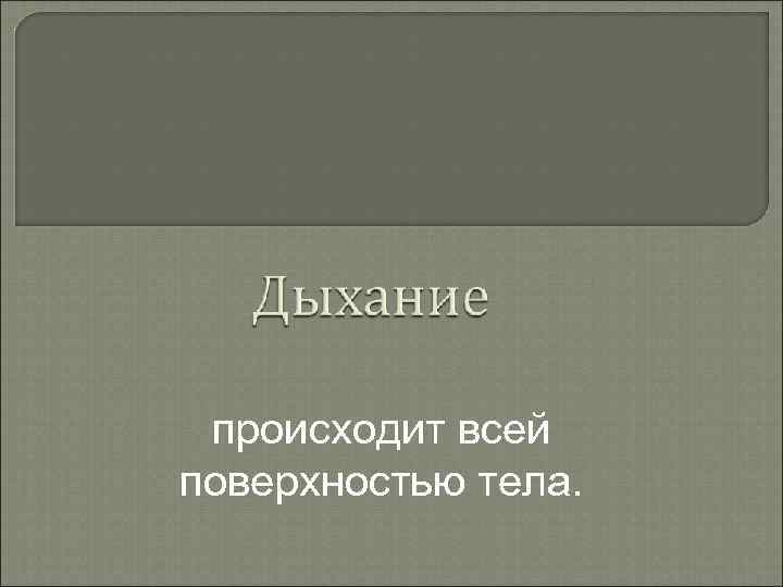 происходит всей поверхностью тела. 