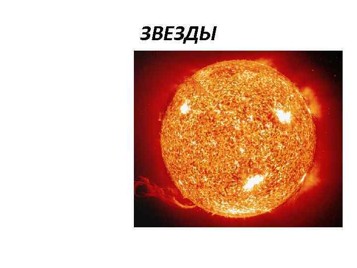 ЗВЕЗДЫ 