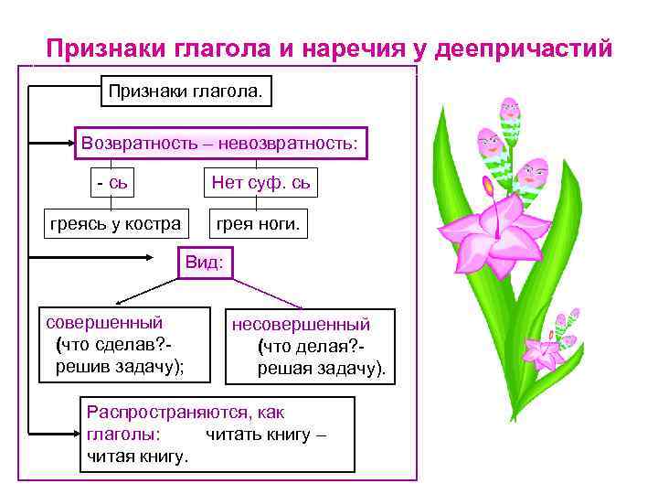 Признаки глагола и наречия у деепричастий Признаки глагола. Возвратность – невозвратность: - сь Нет