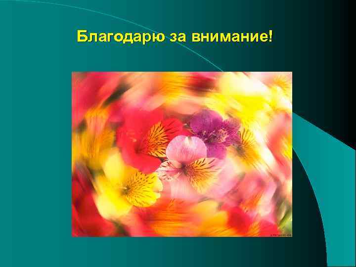 Благодарю за внимание! 