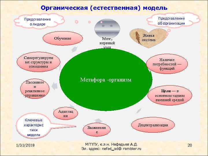 Органическая (естественная) модель Представление об организации Представление о лидере Обучение Живая система Мозг, нервный