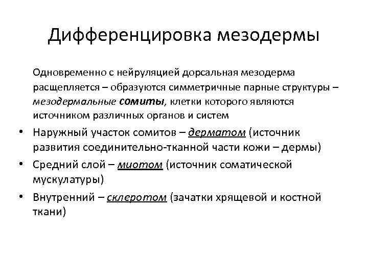  Дифференцировка мезодермы Одновременно с нейруляцией дорсальная мезодерма расщепляется – образуются симметричные парные структуры