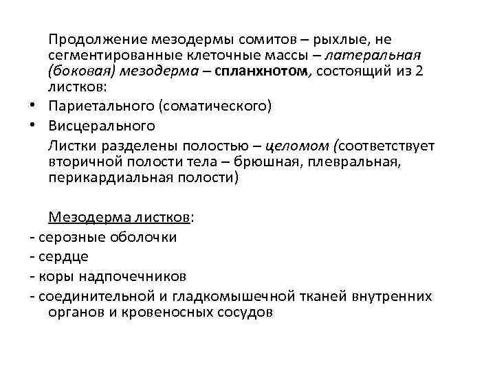  Продолжение мезодермы сомитов – рыхлые, не сегментированные клеточные массы – латеральная (боковая) мезодерма