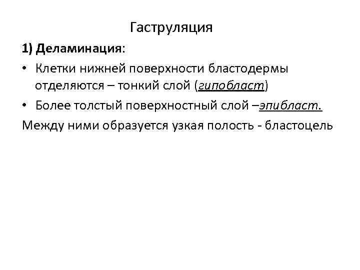  Гаструляция 1) Деламинация: • Клетки нижней поверхности бластодермы отделяются – тонкий слой (гипобласт)