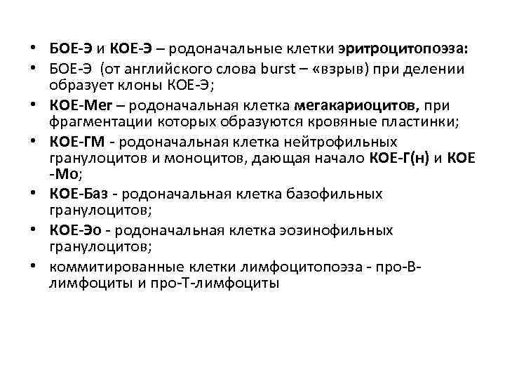  • БОЕ-Э и КОЕ-Э – родоначальные клетки эритроцитопоэза: • БОЕ-Э (от английского слова
