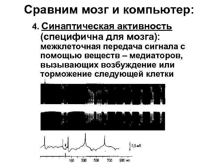 Сравним мозг и компьютер: 4. Синаптическая активность (специфична для мозга): межклеточная передача сигнала с