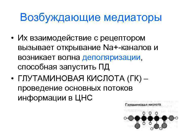 Возбуждающие медиаторы • Их взаимодействие с рецептором вызывает открывание Na+-каналов и возникает волна деполяризации,