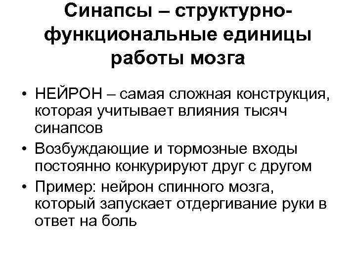 Синапсы – структурнофункциональные единицы работы мозга • НЕЙРОН – самая сложная конструкция, которая учитывает