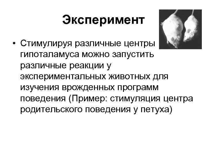 Эксперимент • Стимулируя различные центры гипоталамуса можно запустить различные реакции у экспериментальных животных для