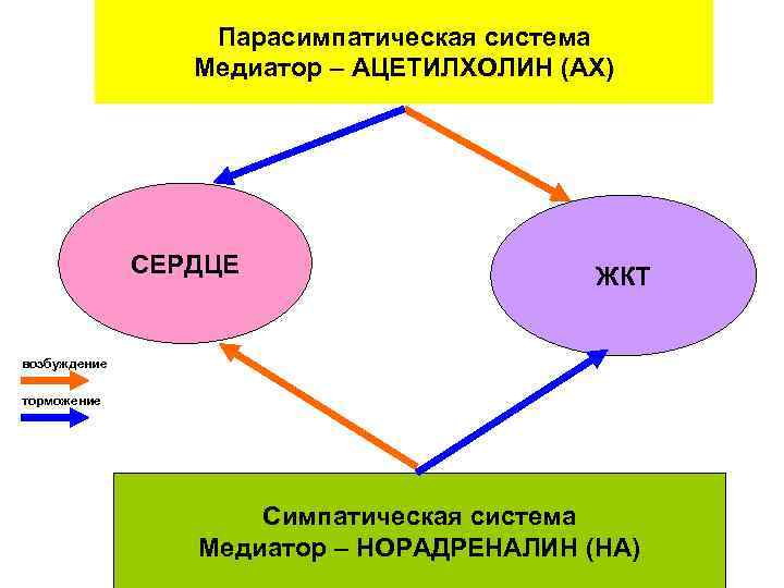 Система ролей