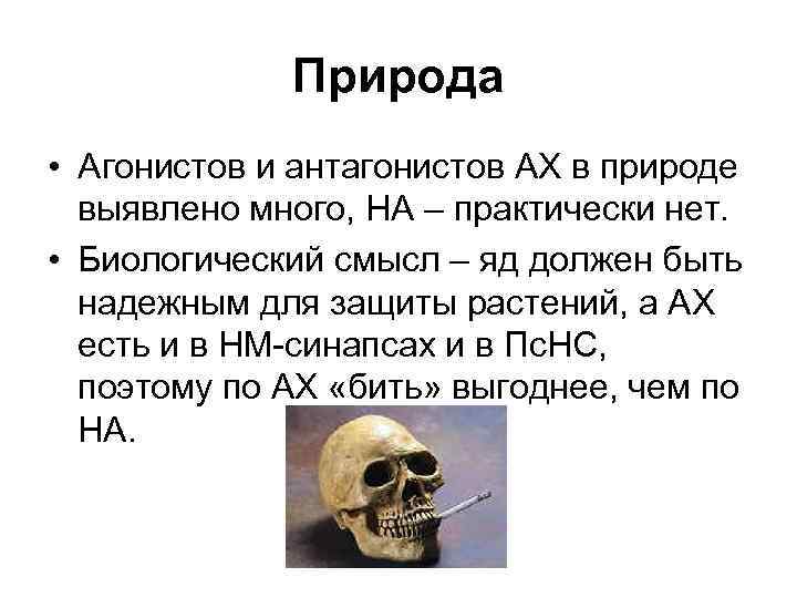 Природа • Агонистов и антагонистов АХ в природе выявлено много, НА – практически нет.