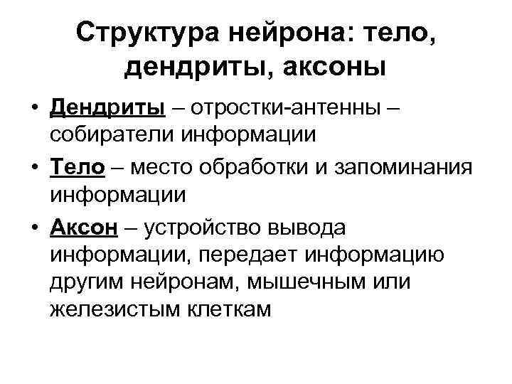 Структура нейрона: тело, дендриты, аксоны • Дендриты – отростки-антенны – собиратели информации • Тело