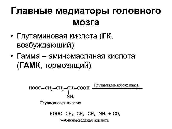 Главные медиаторы головного мозга • Глутаминовая кислота (ГК, возбуждающий) • Гамма – аминомасляная кислота