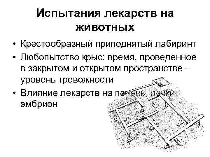 Испытания лекарств на животных • Крестообразный приподнятый лабиринт • Любопытство крыс: время, проведенное в