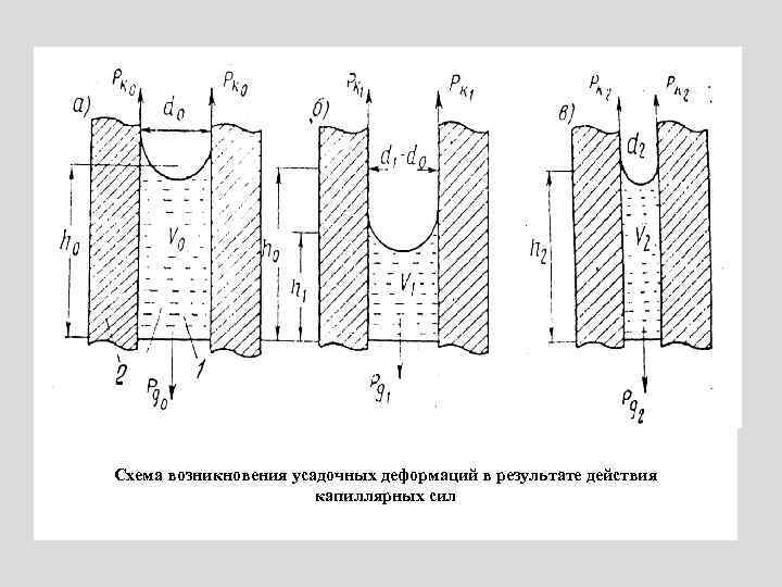 Схема возникновения усадочных деформаций в результате действия капиллярных сил 