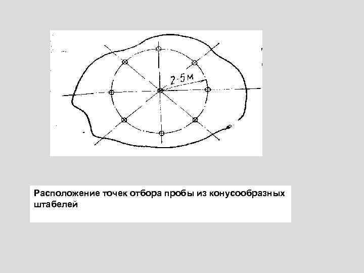 Расположение точек отбора пробы из конусообразных штабелей 