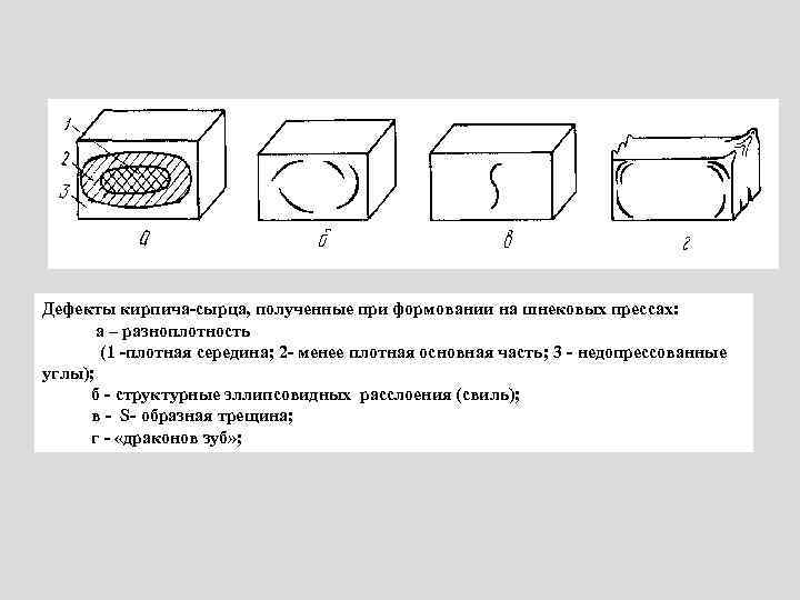 Дефекты кирпича-сырца, полученные при формовании на шнековых прессах: а – разноплотность (1 -плотная середина;