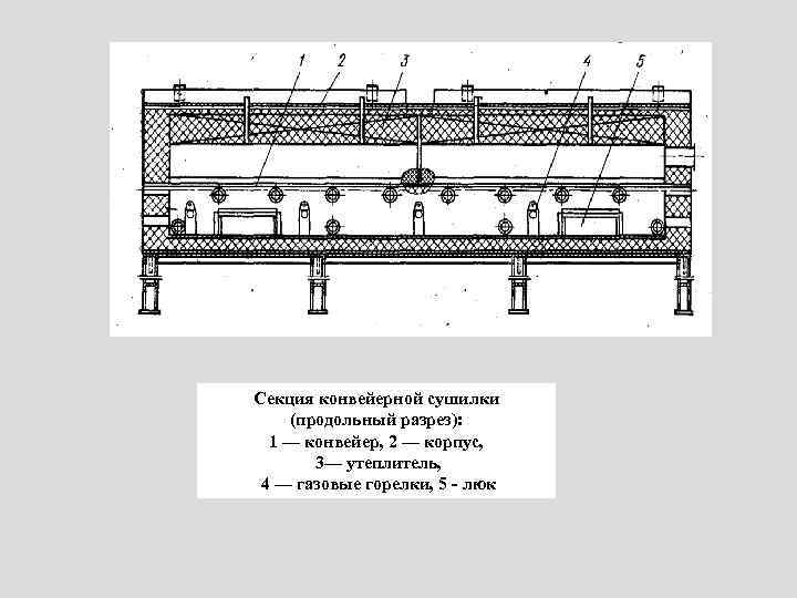 Секция конвейерной сушилки (продольный разрез): 1 — конвейер, 2 — корпус, 3— утеплитель, 4