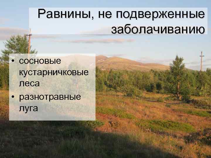 Равнины, не подверженные заболачиванию • сосновые кустарничковые леса • разнотравные луга 