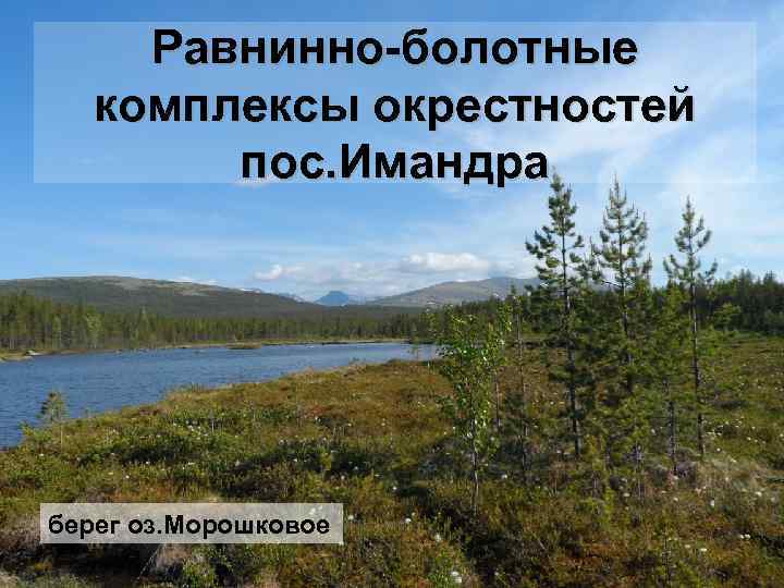 Равнинно-болотные комплексы окрестностей пос. Имандра берег оз. Морошковое 