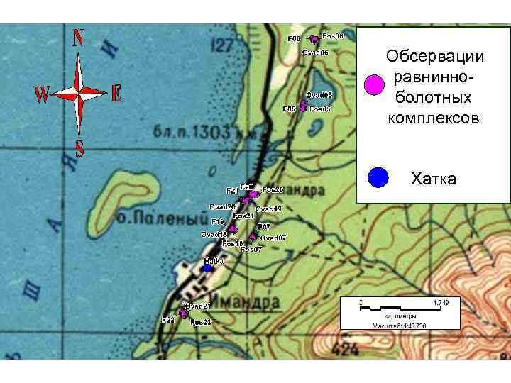 Обсервации равнинноболотных комплексов Хатка 