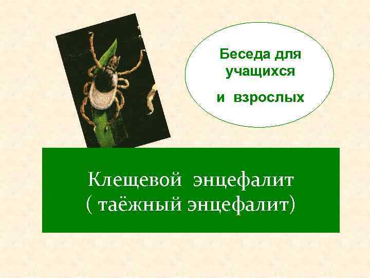 Беседа для учащихся и взрослых Клещевой энцефалит ( таёжный энцефалит) 
