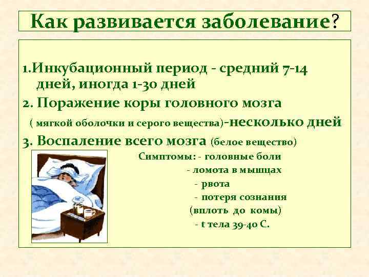 Как развивается заболевание? 1. Инкубационный период - средний 7 -14 дней, иногда 1 -30