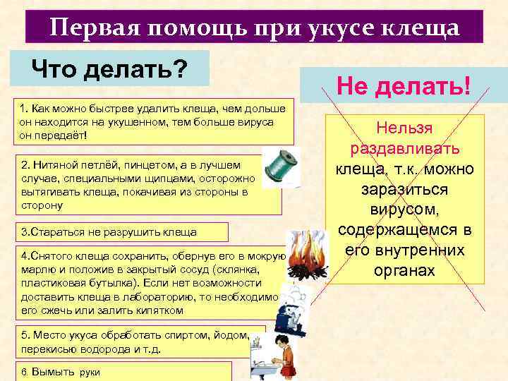 Первая помощь при укусе клеща Что делать? 1. Как можно быстрее удалить клеща, чем