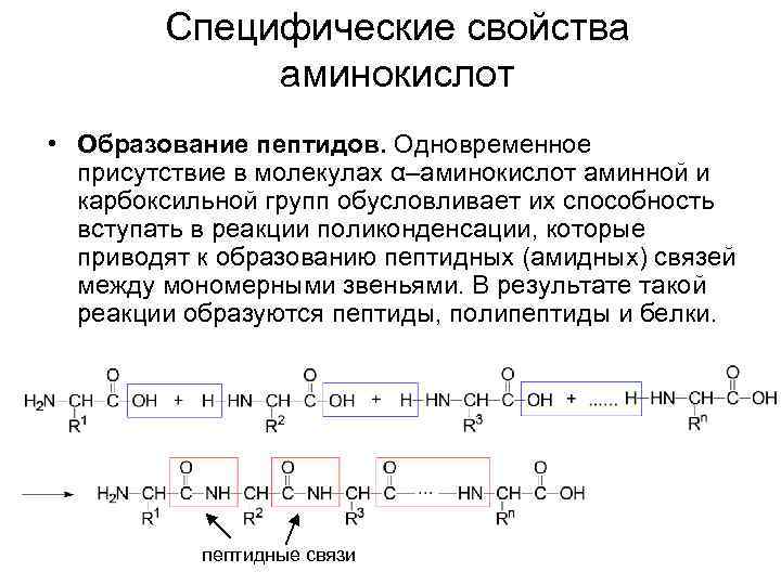 Специфические свойства аминокислот • Образование пептидов. Одновременное присутствие в молекулах α–аминокислот аминной и карбоксильной