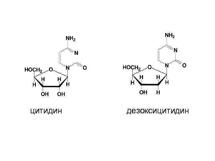 Схема образования дезоксицитидина