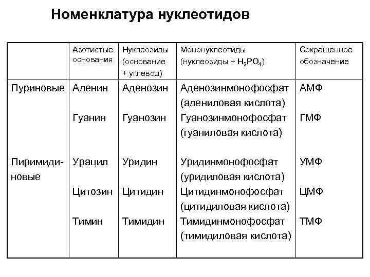 Номенклатура нуклеотидов Азотистые основания Нуклеозиды (основание + углевод) Мононуклеотиды (нуклеозиды + Н 3 РО