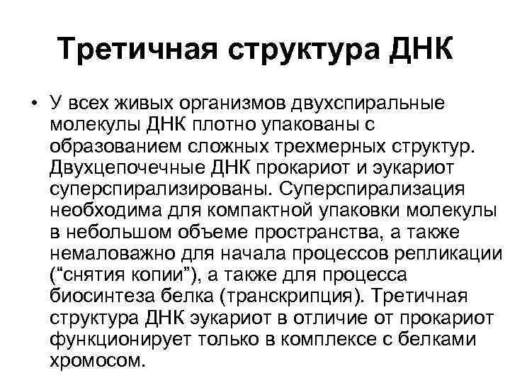 Третичная структура ДНК • У всех живых организмов двухспиральные молекулы ДНК плотно упакованы с