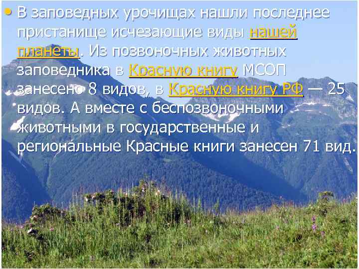  • В заповедных урочищах нашли последнее пристанище исчезающие виды нашей планеты. Из позвоночных