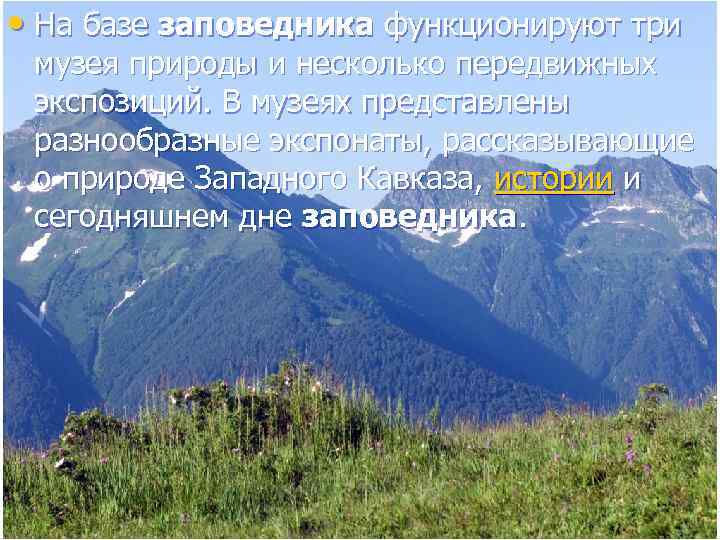  • На базе заповедника функционируют три музея природы и несколько передвижных экспозиций. В